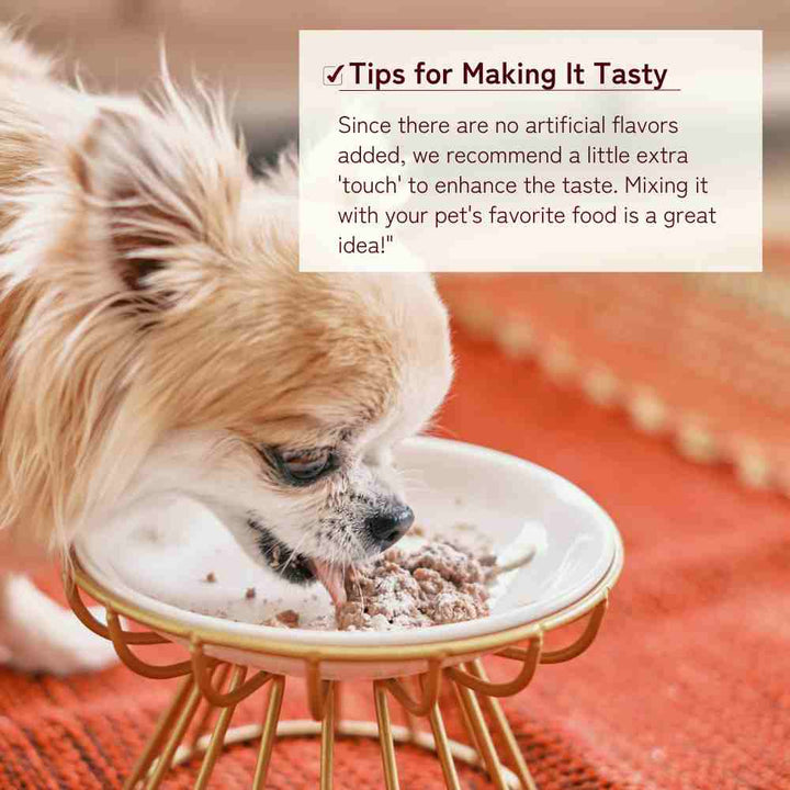 Supplement for Chihuahuas