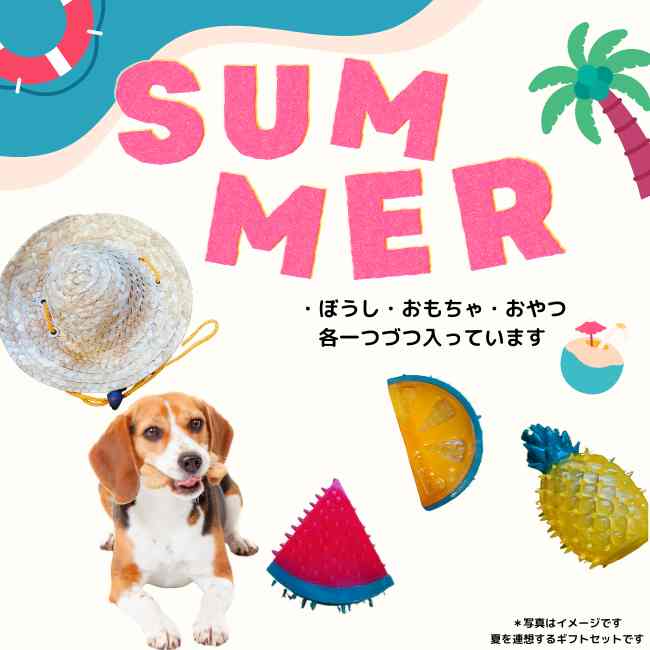 夏ギフト　犬