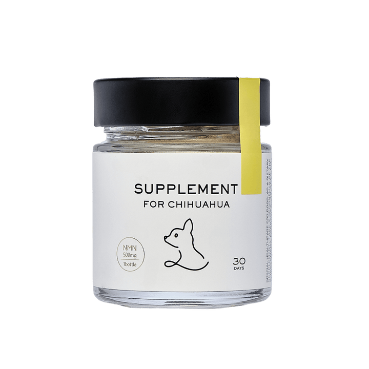 [Regular First Sample] ONE PLUS Supplement for Chihuahuas