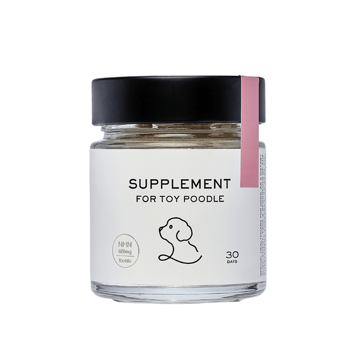 ONE PLUS Supplement for Toy Poodles