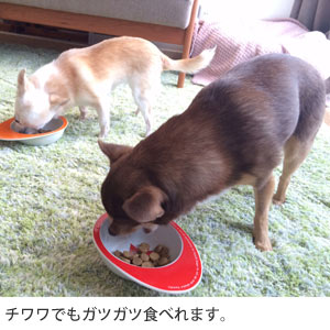 Naturally Fresh　チキン＆ダック　DOG